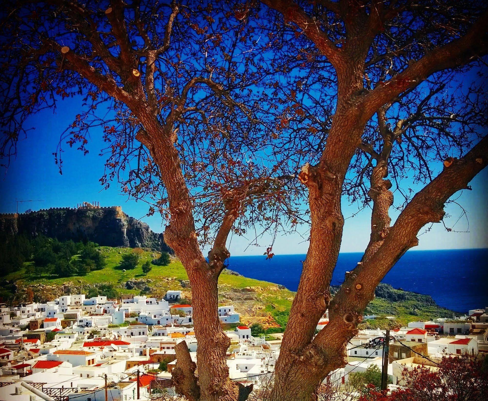 Little Lindos Sea View Studios Eksteriør bilde