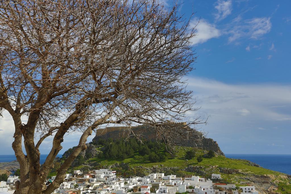 Little Lindos Sea View Studios Eksteriør bilde