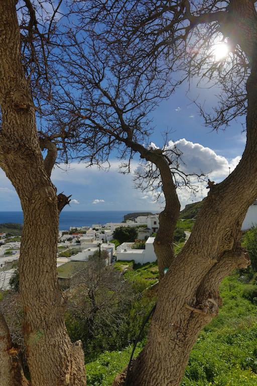 Little Lindos Sea View Studios Eksteriør bilde